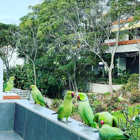 Apartment Good Vibes *