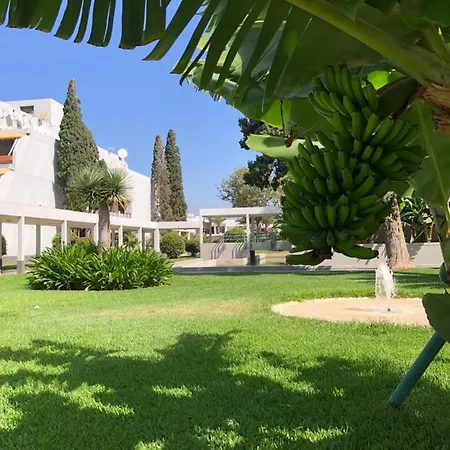 Appartement Good Vibes