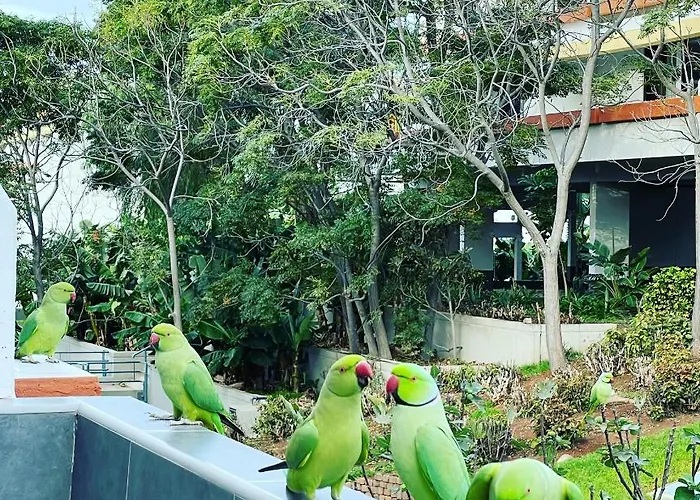 Apartment Good Vibes *