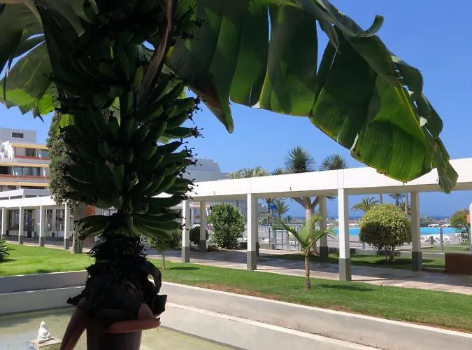 Good Vibes Apartamento *