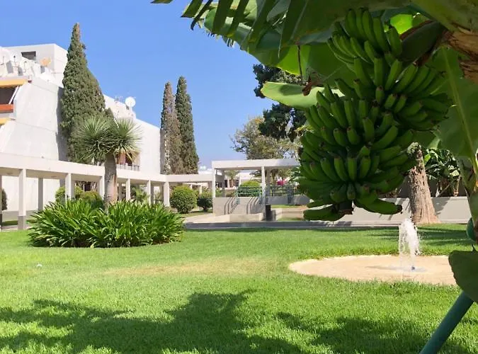 Apartamento Good Vibes